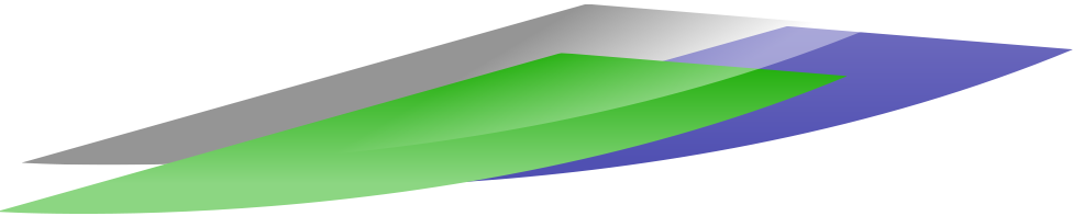 ViceVersa PRO